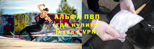 прущие грибы Медвежьегорск