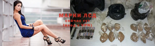 прущие грибы Медвежьегорск