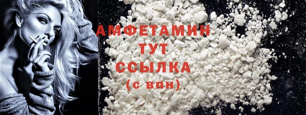 прущие грибы Медвежьегорск
