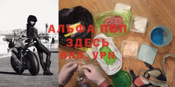 прущие грибы Медвежьегорск