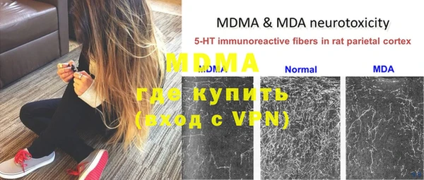 прущие грибы Медвежьегорск