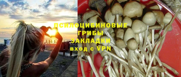 мяу мяу мука Медногорск