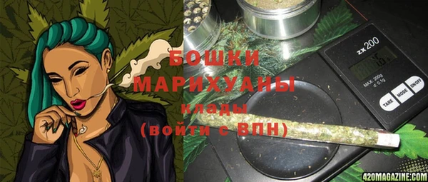 прущие грибы Медвежьегорск
