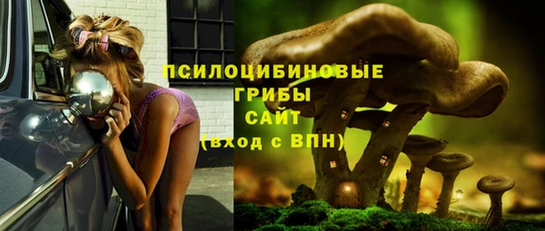 мяу мяу мука Медногорск