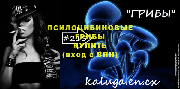 прущие грибы Медвежьегорск